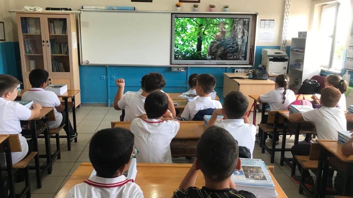 İlk Dersimiz: Yeşil Vatan.